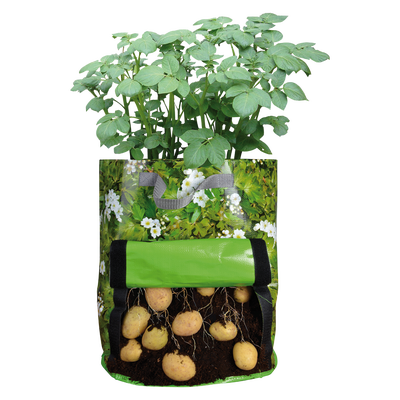 Sembradora de Patatas Terraza